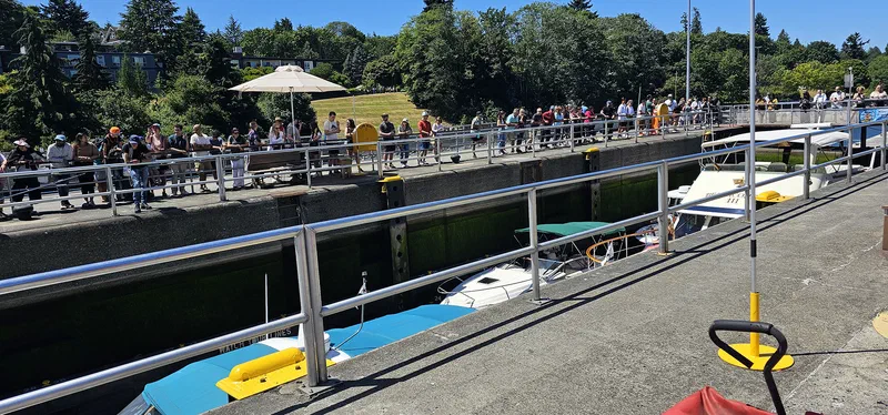 Boats pass through the Seattle Ballard Locks every day!