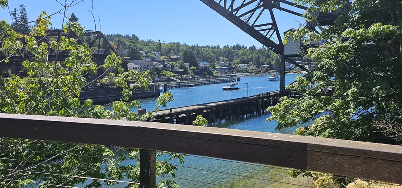 The views of the Seattle Ballard Locks are breathtaking!