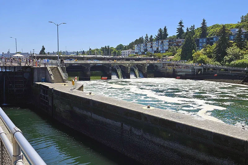 The locks looked awesome from this angle!