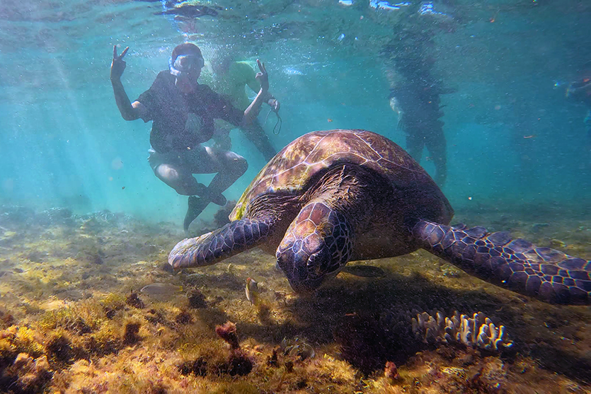 Apo Island in Dauin Philippines