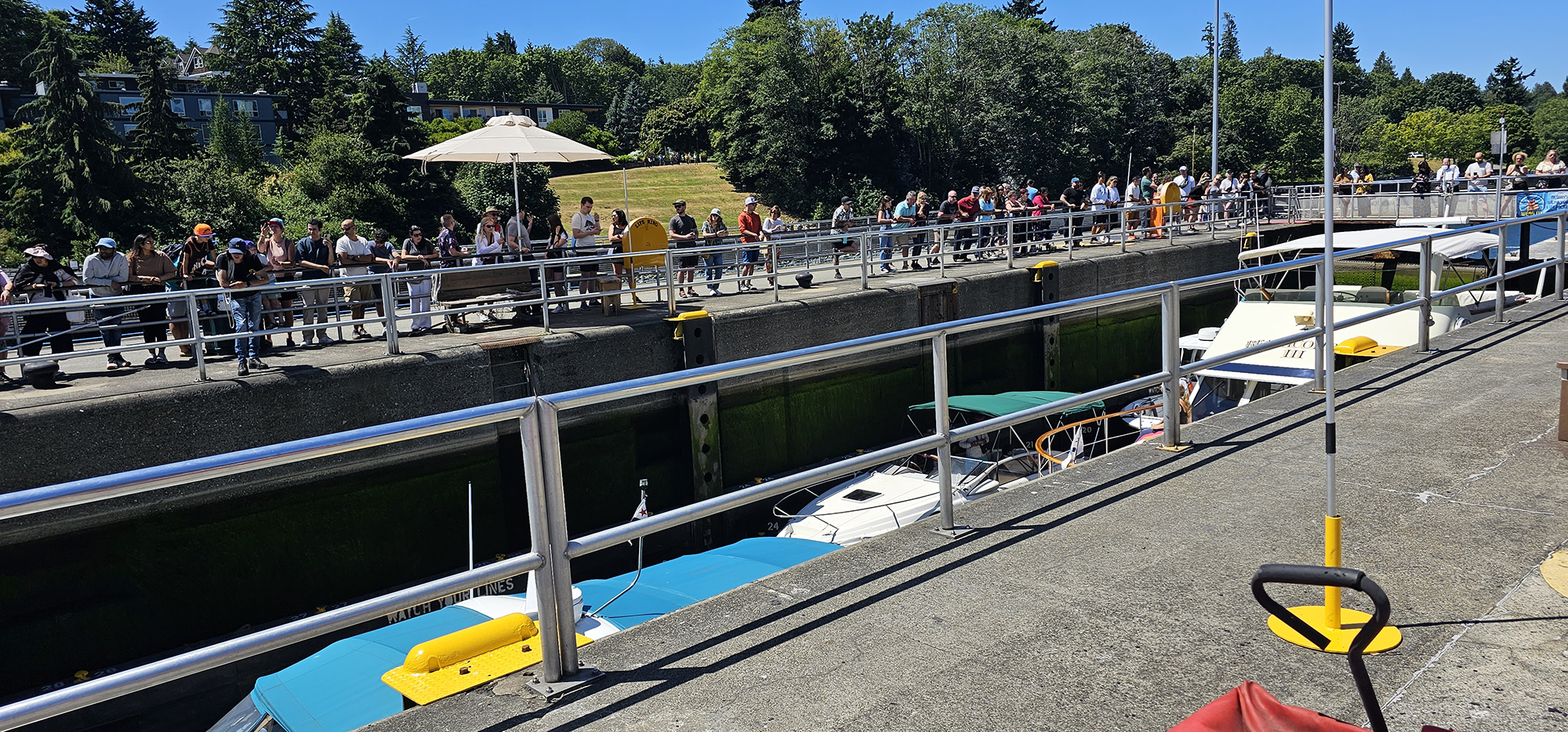 Boats pass through the Seattle Ballard Locks every day!