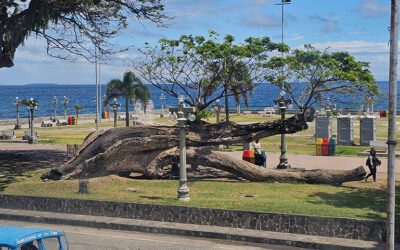 Things To Do In Dumaguete City Philippines