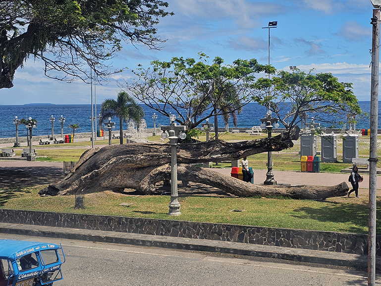 Things to do in Dumaguete City include the famous Rizal Boardwalk