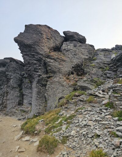 The changing landcape along the trail at Mount Ranier