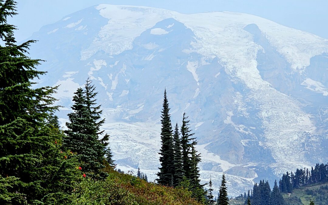 Ranier National Park Sky Loop Trail View