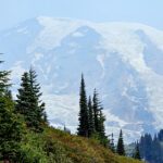 Ranier National Park Sky Loop Trail View