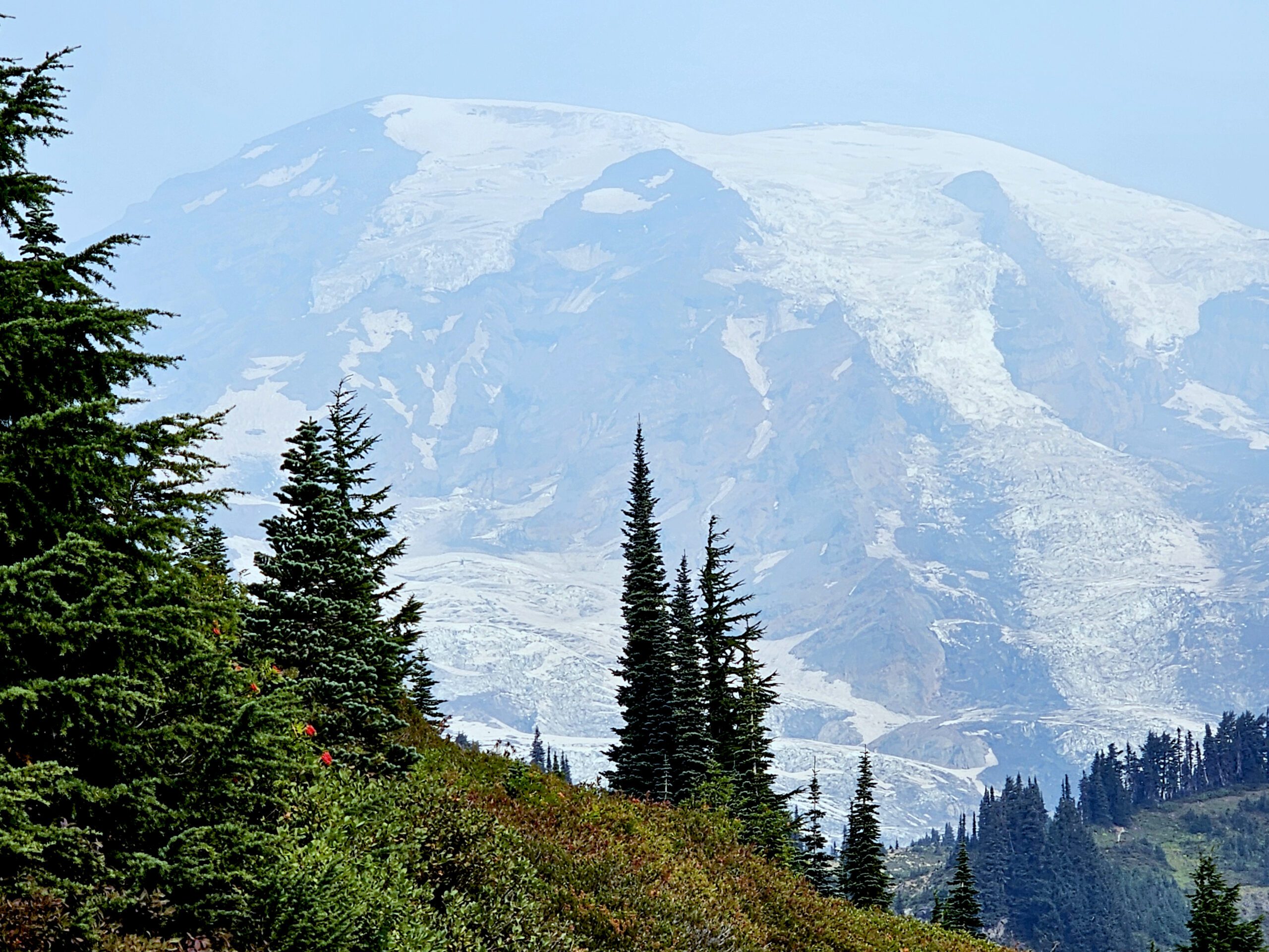 Ranier National Park Sky Loop Trail View